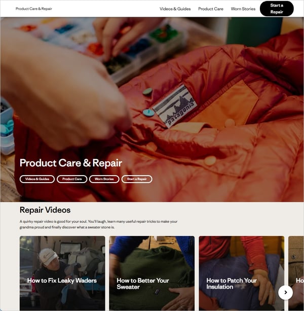 Patagonia web site image